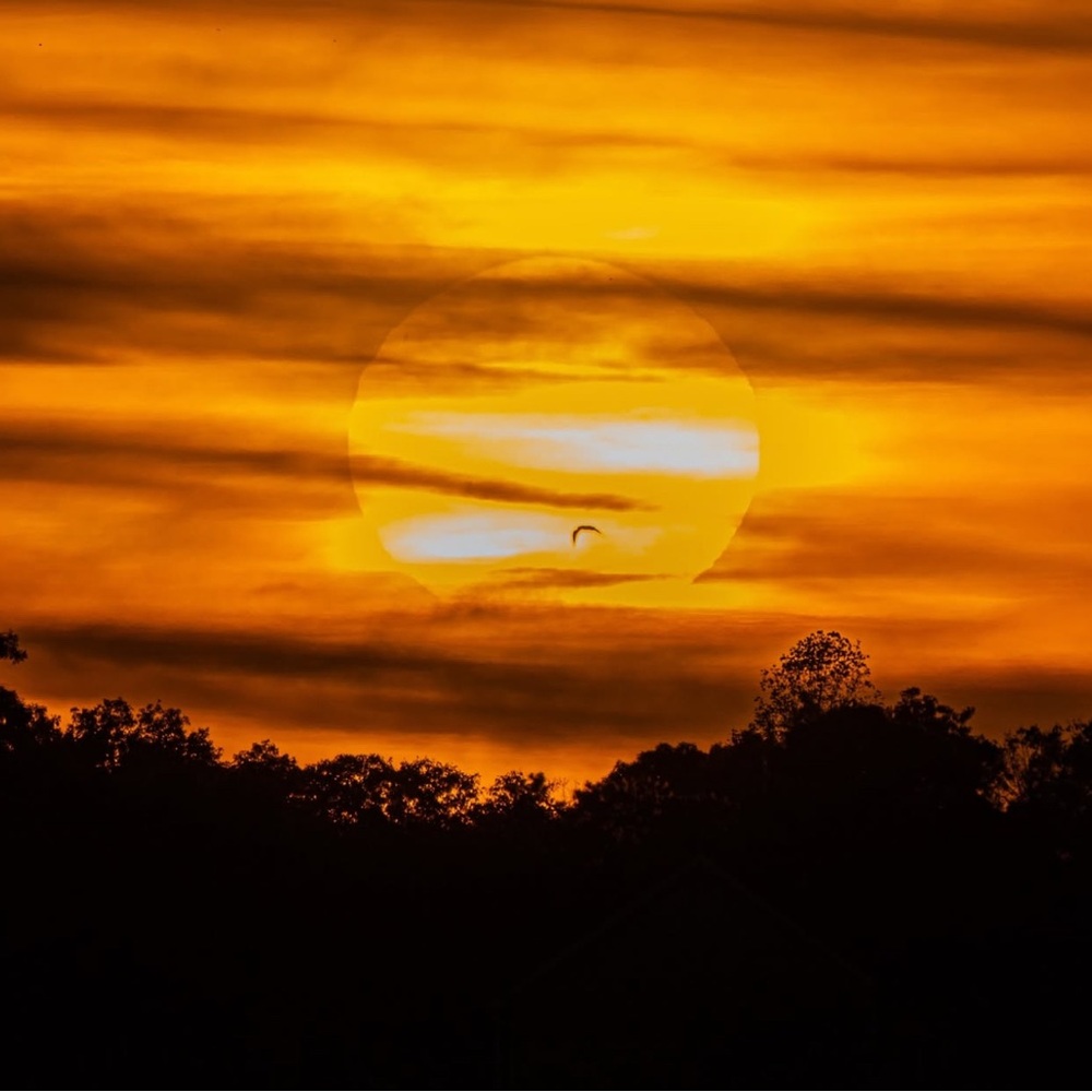 Sunset Silhouette Art Print